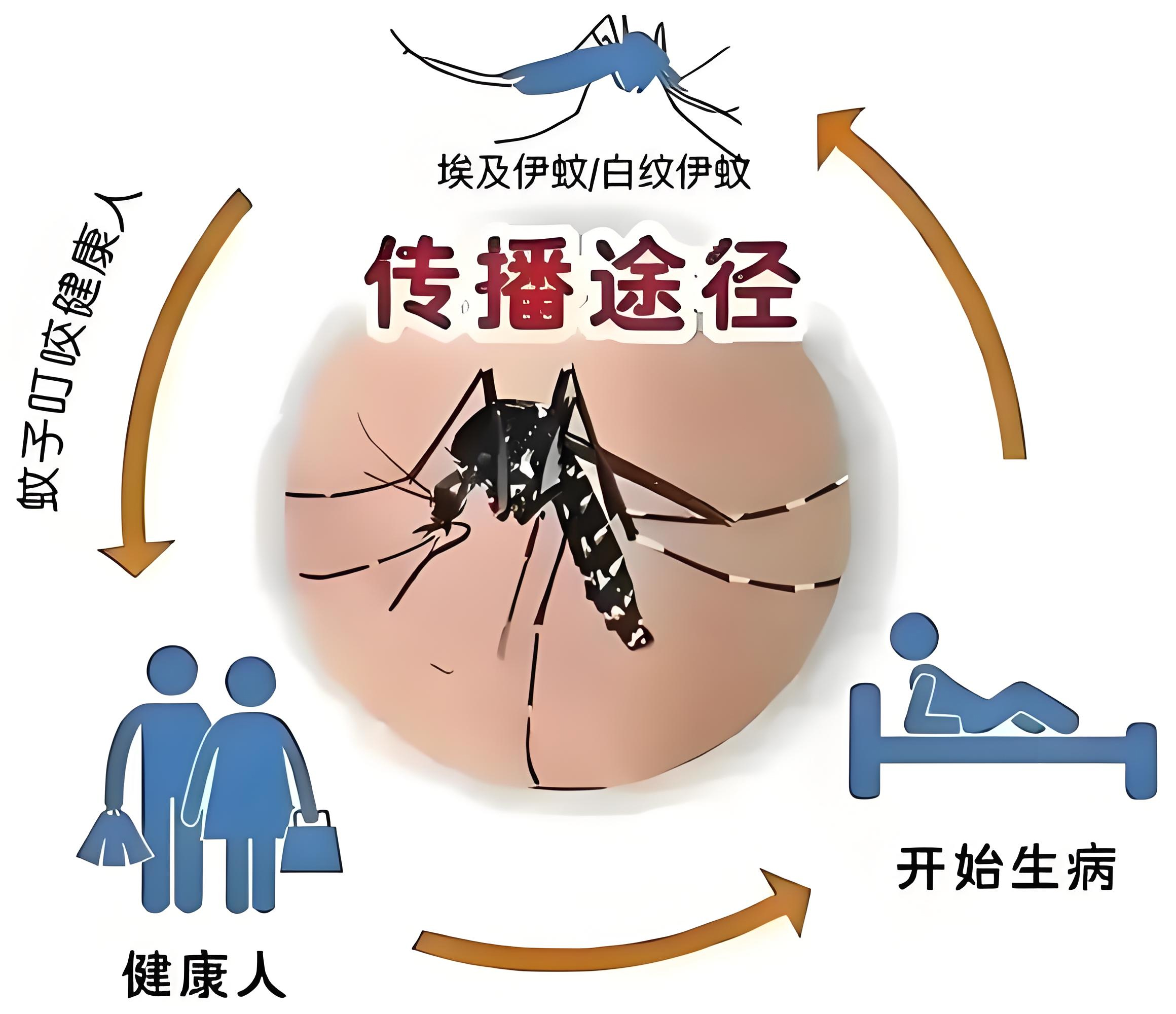 蟲(chóng)媒檢測(cè)系列